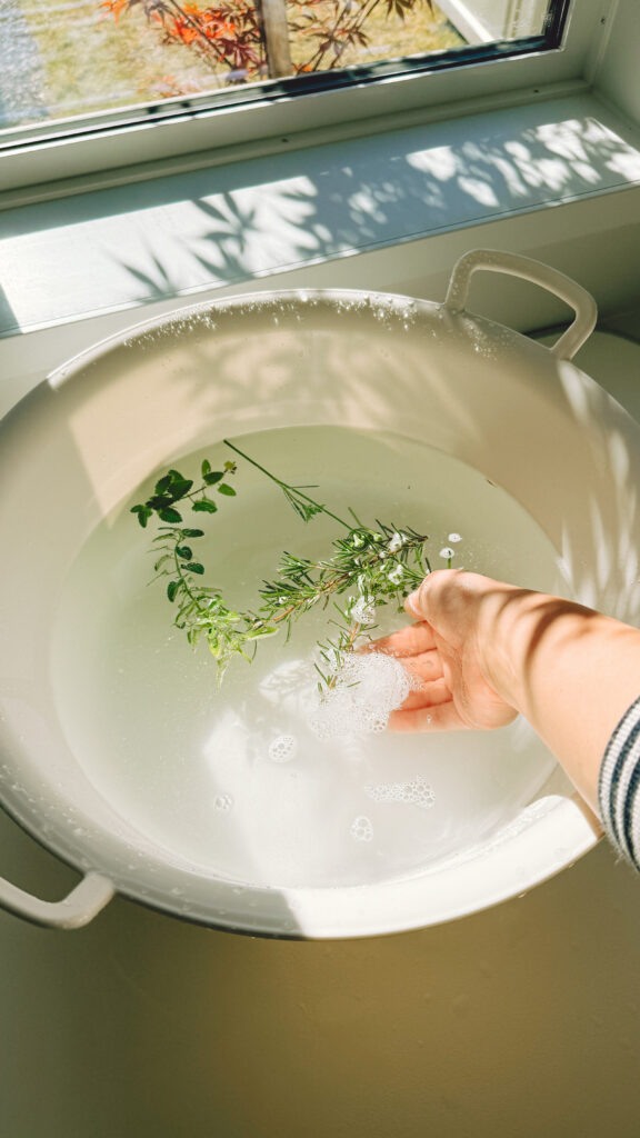 自家製herbをいれた足浴